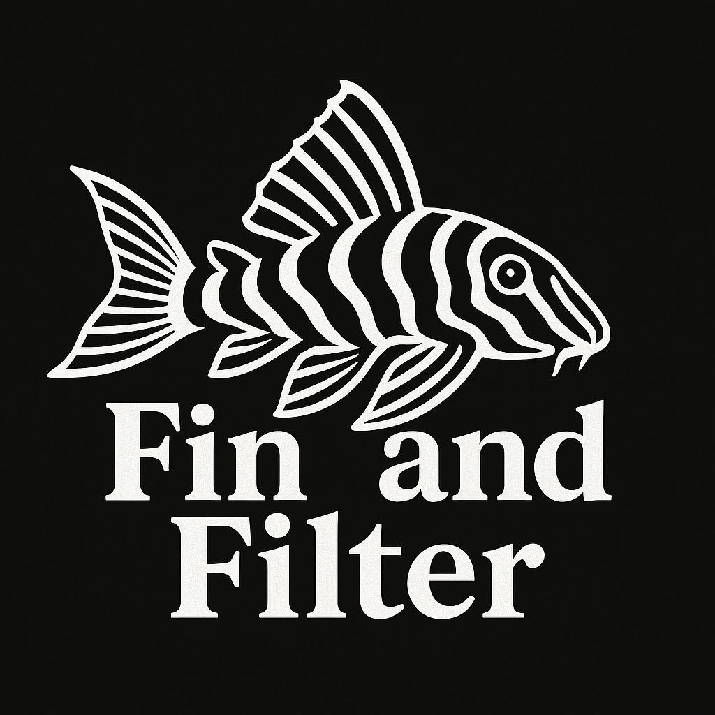 Fin and Filter